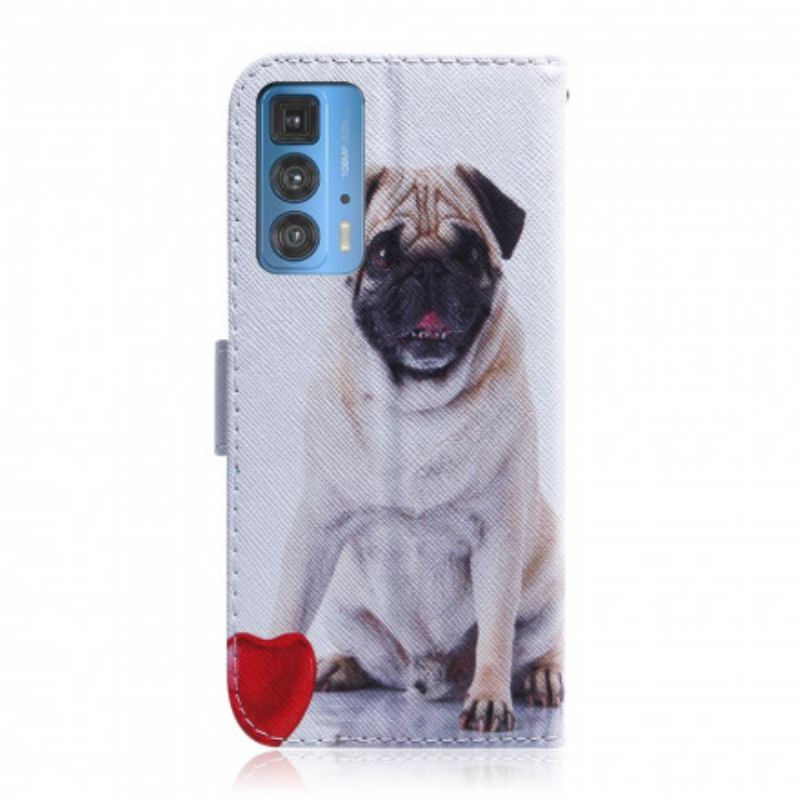Flip Cover Motorola Edge 20 Pro Mops Hund