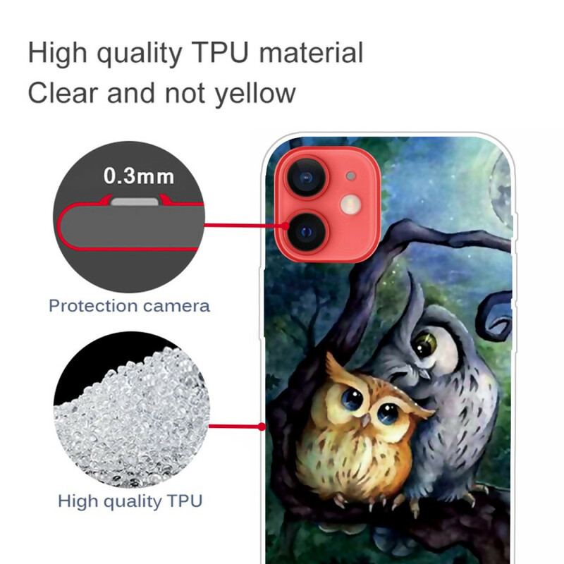 Cover iPhone 13 Mini Maler Ugler